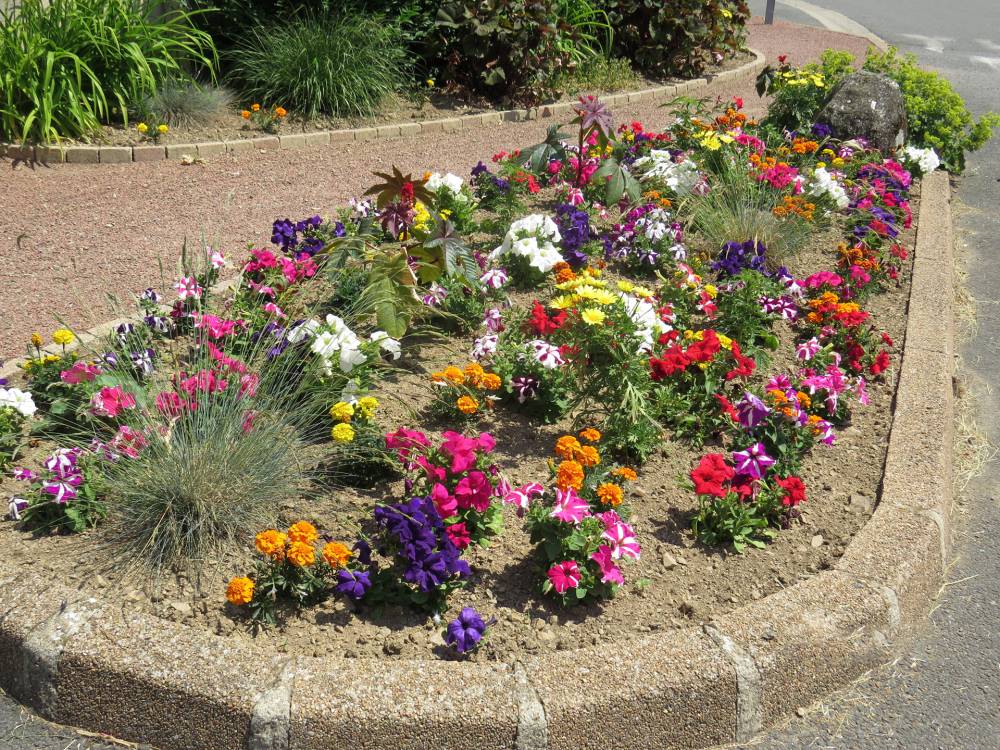 Entretien fleurs et arbustes mairie de St Clément de vers