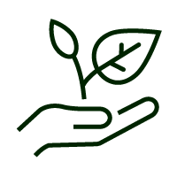 Potager