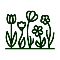 Fleurs
