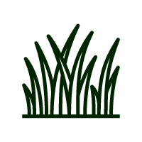 Herbes