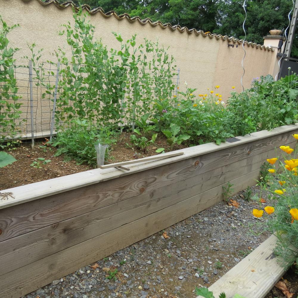 Carré potager